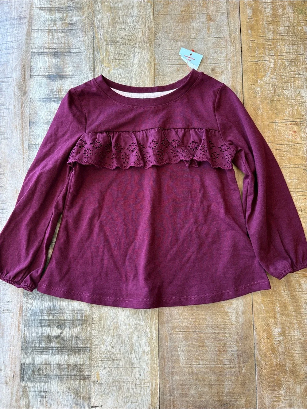 NWOT Carter’s Fall Girls Bundle 2t